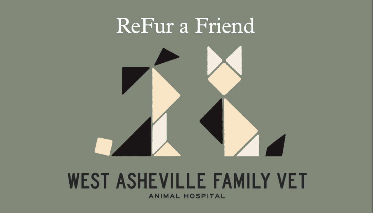 Vet Offers In Asheville, NC West Asheville Family Vet
